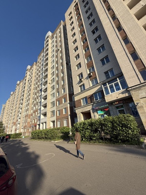 Объект по адресу Санкт-Петербург, Ветеранов пр-кт, 130А 