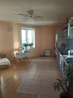 Объект по адресу Санкт-Петербург г, Савушкина ул, д. 140