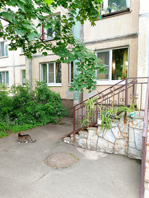 Объект по адресу Санкт-Петербург, Косыгина пр-кт, 28к5 