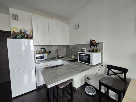 Объект по адресу Санкт-Петербург г, Арцеуловская ал., д. 17