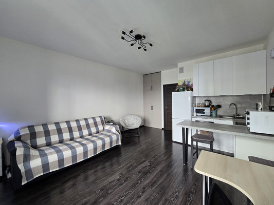 Объект по адресу Санкт-Петербург г, Арцеуловская ал., д. 17