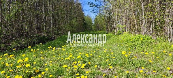 Объект по адресу Москва, СНТ Надежда массива Нечеперть тер, 490 