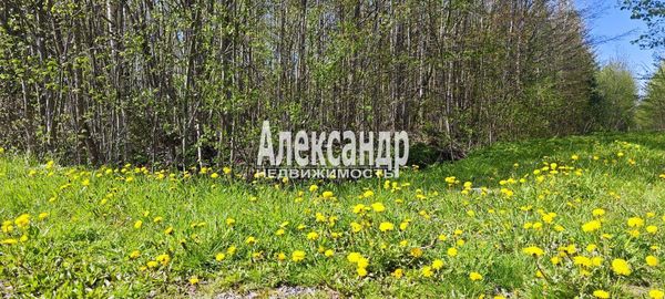 Объект по адресу Москва, СНТ Надежда массива Нечеперть тер, 490 