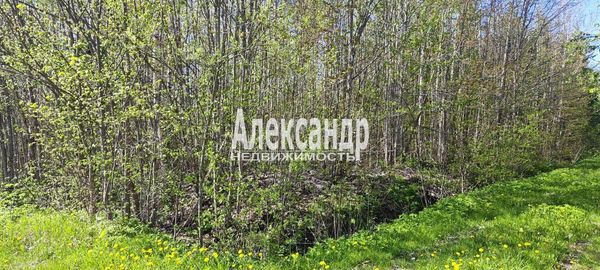 Объект по адресу Москва, СНТ Надежда массива Нечеперть тер, 490 