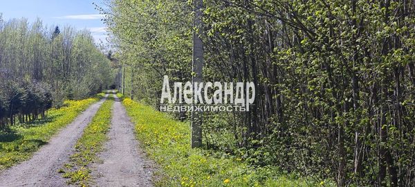 Объект по адресу Москва, СНТ Надежда массива Нечеперть тер, 490 