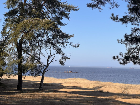 Объект по адресу Ленинградская обл, Ломоносовский р-н, Лебяжье пгт, Мира ул