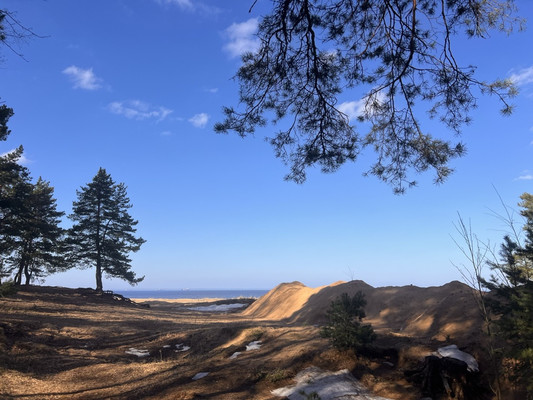 Объект по адресу Ленинградская обл, Ломоносовский р-н, Лебяжье пгт, Мира ул