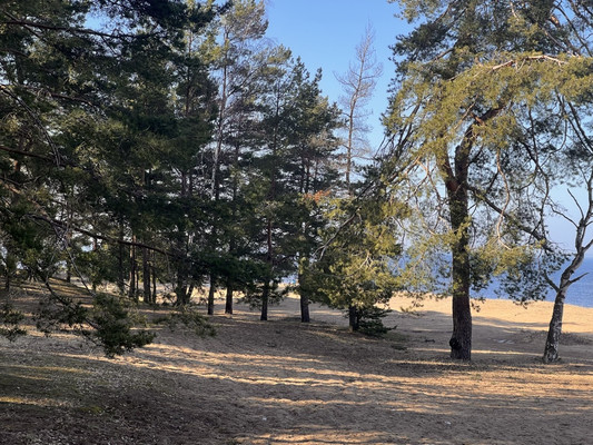 Объект по адресу Ленинградская обл, Ломоносовский р-н, Лебяжье пгт, Мира ул
