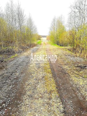 Объект по адресу Москва, Ромашки п 