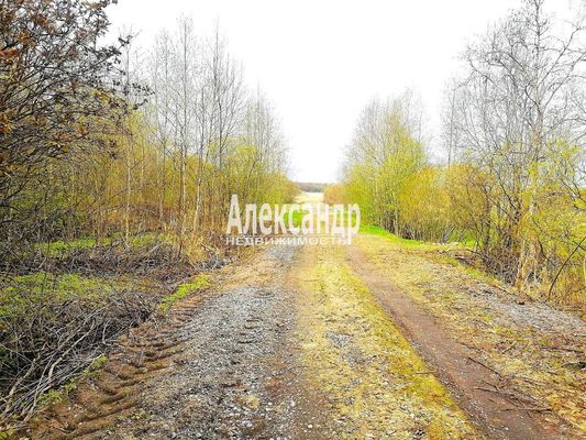 Объект по адресу Москва, Ромашки п 