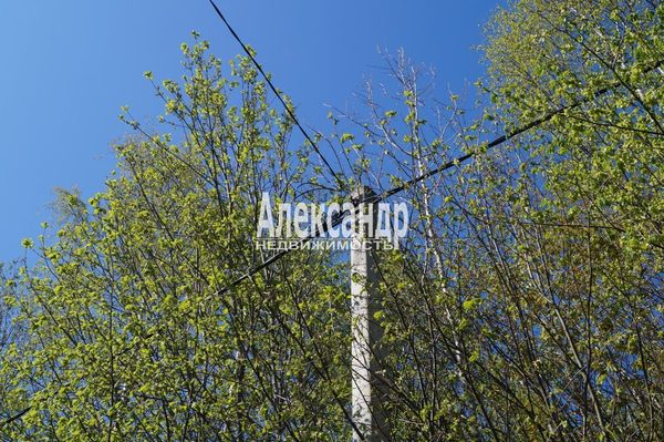 Объект по адресу Москва, СНТ Надежда массива Нечеперть тер, 491 