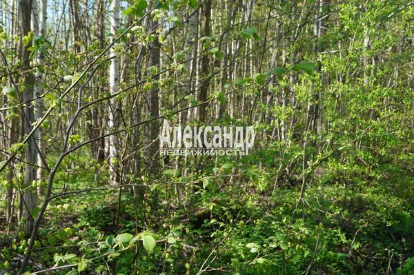 Объект по адресу Москва, СНТ Надежда массива Нечеперть тер, 491 