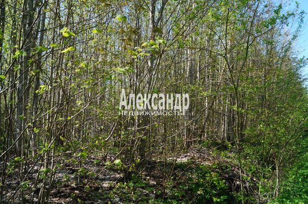 Объект по адресу Москва, СНТ Надежда массива Нечеперть тер, 491 