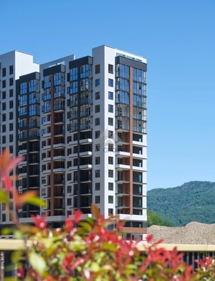 Фото квартиры по адресу Краснодарский край, Адлерский р-н, Искры ул, д. 66/10