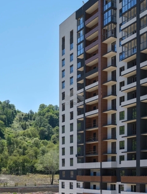 Фото квартиры по адресу Краснодарский край, Адлерский р-н, Искры ул, д. 66/10