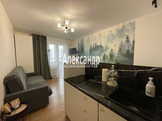 Объект по адресу Санкт-Петербург г, Реки Каменки наб, д. 19к3