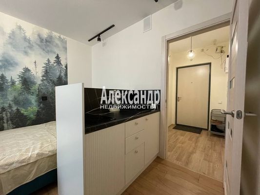 Объект по адресу Санкт-Петербург г, Реки Каменки наб, д. 19к3