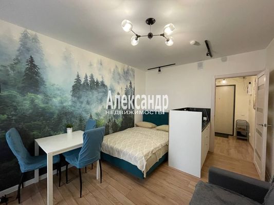 Объект по адресу Санкт-Петербург г, Реки Каменки наб, д. 19к3