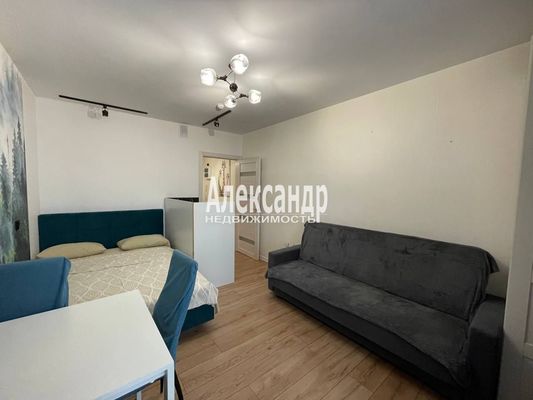 Объект по адресу Санкт-Петербург г, Реки Каменки наб, д. 19к3