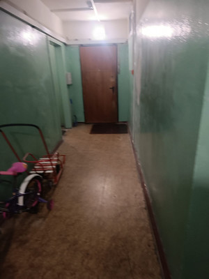 Объект по адресу Санкт-Петербург г, Димитрова ул, д. 29к1