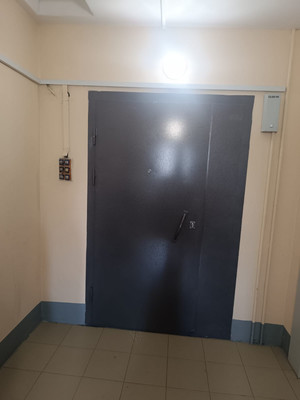 Объект по адресу Санкт-Петербург г, Димитрова ул, д. 29к1