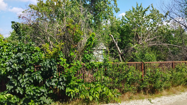 Объект по адресу Москва, Цветочная (Дружба-1 снт) ул, 22 