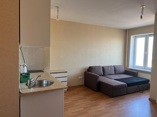 Объект по адресу Санкт-Петербург г, Парголово п, Толубеевский пр-д, д. 24