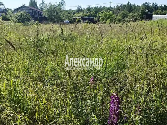 Объект по адресу Москва, Сиверский тер. СНТ 