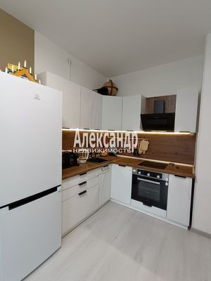 Объект по адресу Санкт-Петербург, Дудко ул, 14к1 