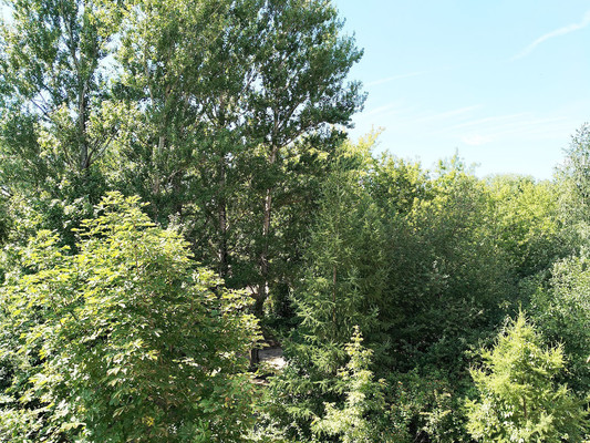 Объект по адресу Москва, Ерино д, 11 