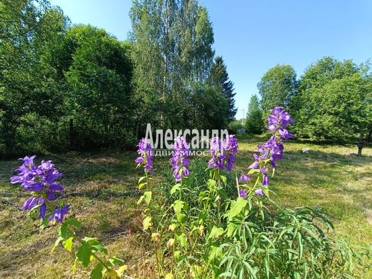 Объект по адресу Москва, Сиверский тер. СНТ, 113 