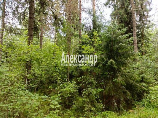 Объект по адресу Москва, Мыс п 