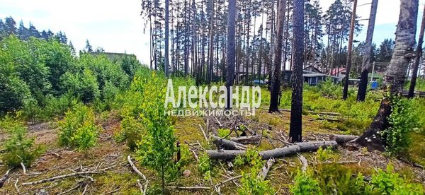 Объект по адресу Москва, Высокая ул 