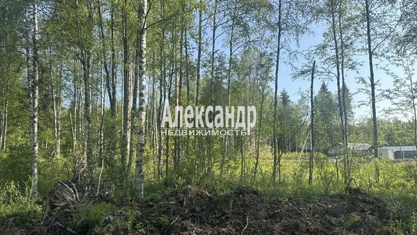 Объект по адресу Москва, 5-я линия 