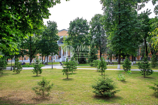 Объект по адресу Москва, Елизаветинский пер, 6 