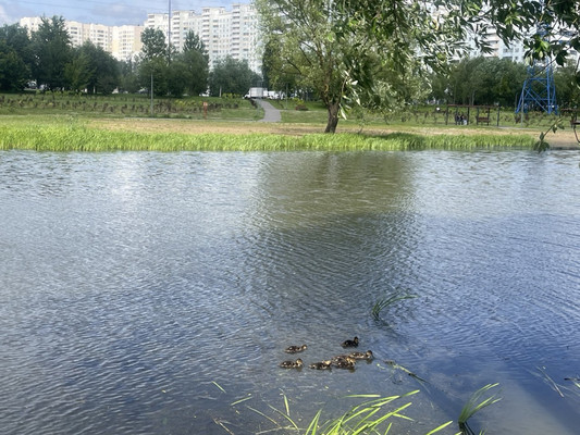 Объект по адресу Москва, Маршала Савицкого ул, 8 