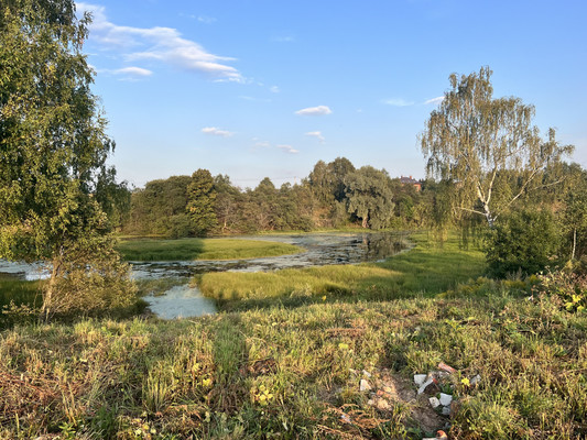 Объект по адресу Москва, Тишково д 