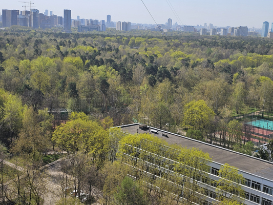 Объект по адресу Москва, Ленинградское ш, 29 