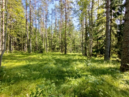 Объект по адресу Москва, Полянская тер, участок 26 
