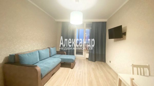 Объект по адресу Санкт-Петербург г, Просвещения пр-кт, д. 43