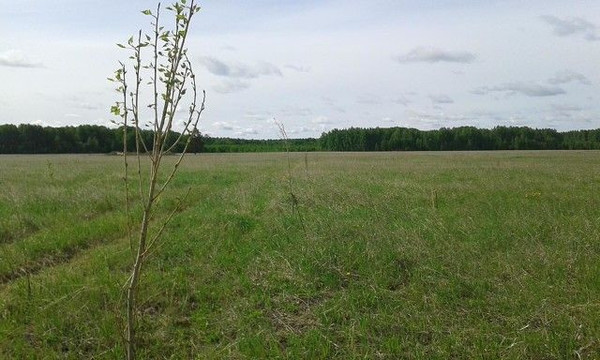 Объект по адресу Краснодарский край, Динской р-н, Нововеличковская ст-ца, Лазо ул