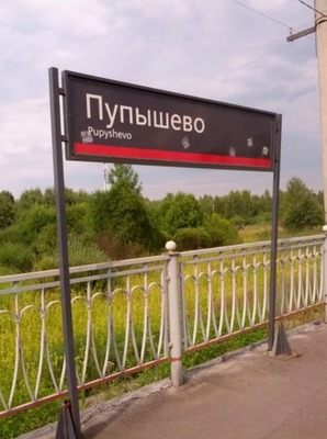 Объект по адресу Москва, Риф тер. СНТ 