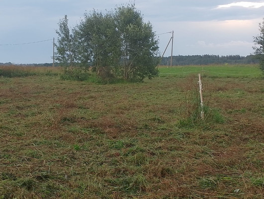 Объект по адресу Москва, Жабино д 