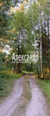 Объект по адресу Москва, Кузнечное гп 