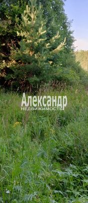 Объект по адресу Москва, Кузнечное гп 