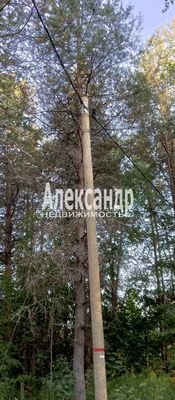 Объект по адресу Москва, Кузнечное гп 