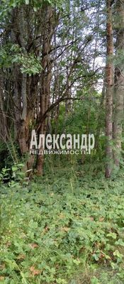 Объект по адресу Москва, Кузнечное гп 