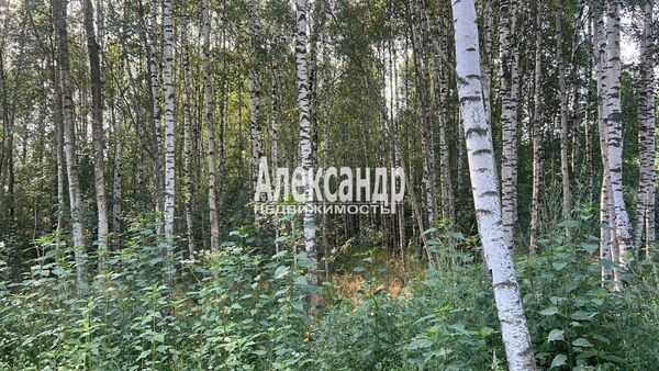 Объект по адресу Москва, Изыскатель тер. СНТ 
