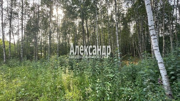 Объект по адресу Москва, Изыскатель тер. СНТ 