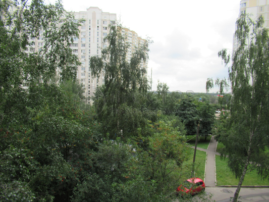 Объект по адресу Москва, Лебедянская ул, 30 